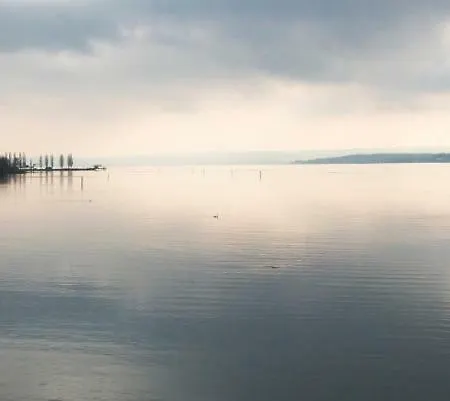 Restaurant Seehalde Hotell