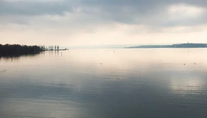 Restaurant Seehalde ホテル